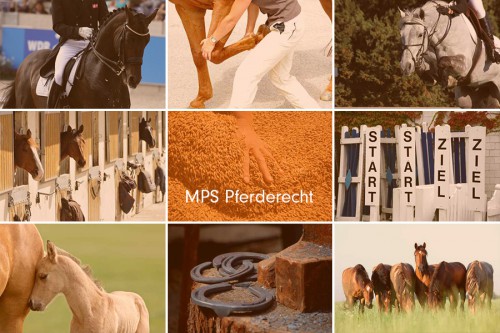 MPS Pferderecht - ZUR HAFTUNG DES TIERHALTERS ALS BETEILIGTER BEI SCHÄDIGUNG DURCH MEHRERE PFERDE